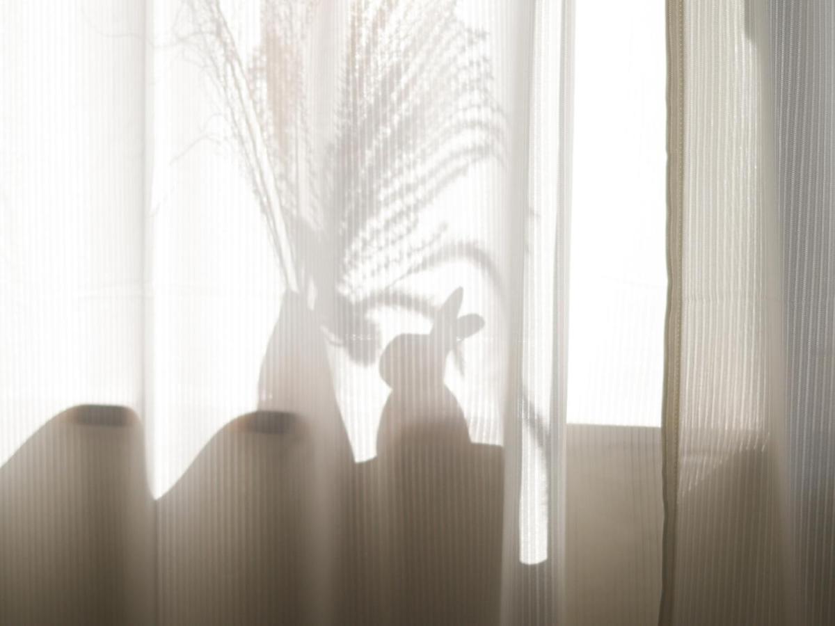 貸別荘 ウサギの郷 Fujikawaguchiko Zewnętrze zdjęcie